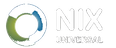Nix Universal